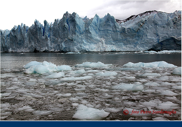 ARGENTINA (288)