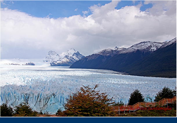 ARGENTINA (291)