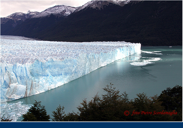 ARGENTINA (293)