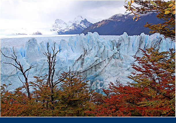 ARGENTINA (296)