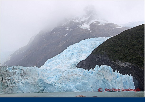 ARGENTINA (302)