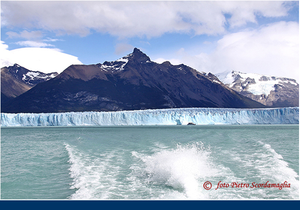 ARGENTINA (311)