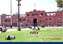 ARGENTINA (223)