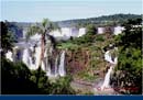 ARGENTINA (233)