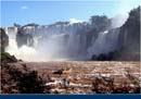 ARGENTINA (257)