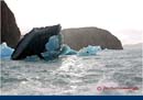 ARGENTINA (299)