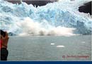 ARGENTINA (303)