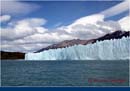 ARGENTINA (308)