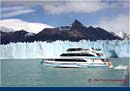 ARGENTINA (309)