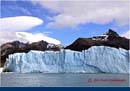 ARGENTINA (310)