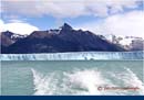 ARGENTINA (311)