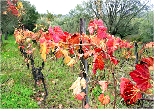 LA-VIGNA