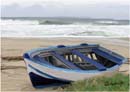 LA BARCA -ZAMBRONE