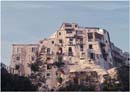 TROPEA-U CORALLARU