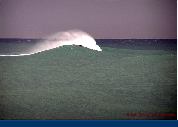 a-IL MARE_28