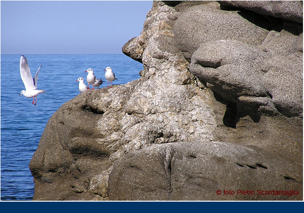 a-IL MARE_63